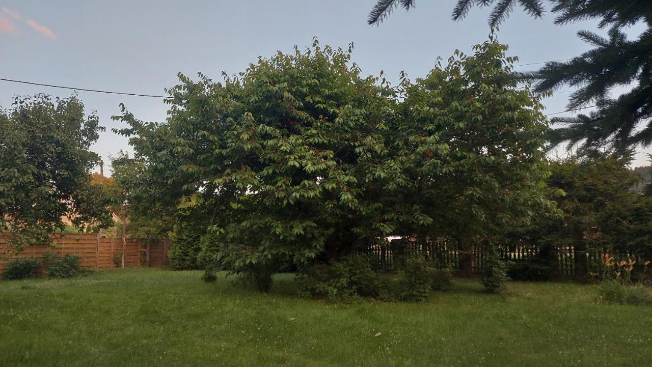 Apartamenty Stokrotka Lądek-Zdrój المظهر الخارجي الصورة