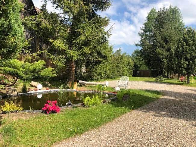 Apartamenty Stokrotka Lądek-Zdrój المظهر الخارجي الصورة